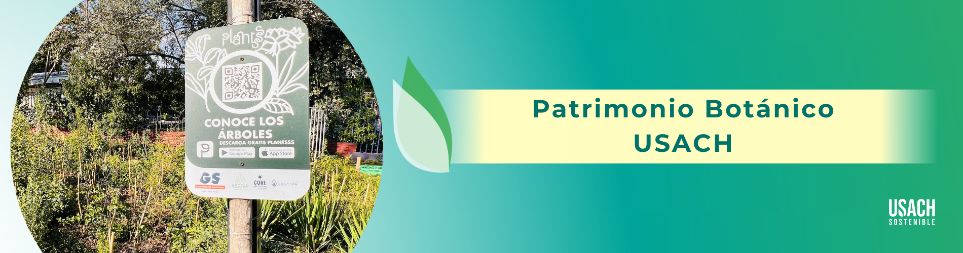 Portada proyecto Patrimonio Botánico USACH