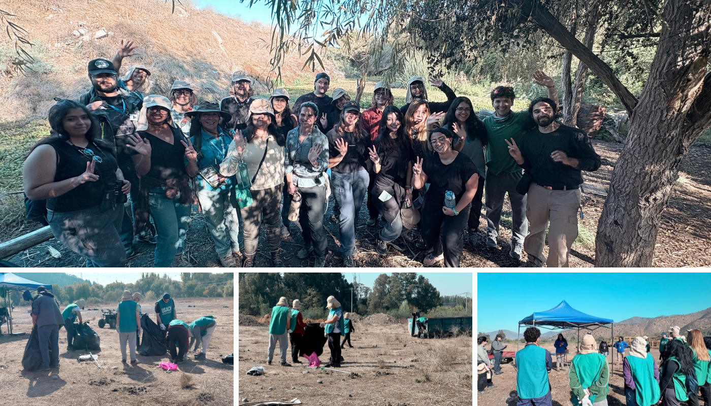Registro de fotografías de lo que fue el Voluntariado Usach Sostenible 2026