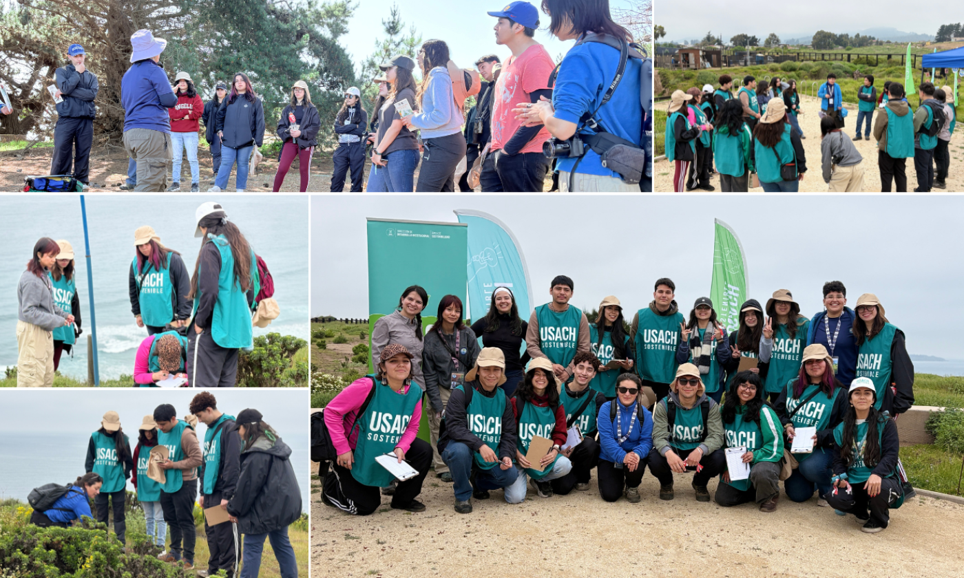 Registro fotográfico de la jornada de Voluntariado USACH SOSTENIBLE 2025, realizado con la colaboración de la Fundación Acantilados de Maitencillo.