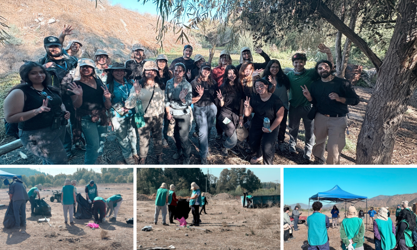 Registro de fotografías de lo que fue el Voluntariado Usach Sostenible 2026